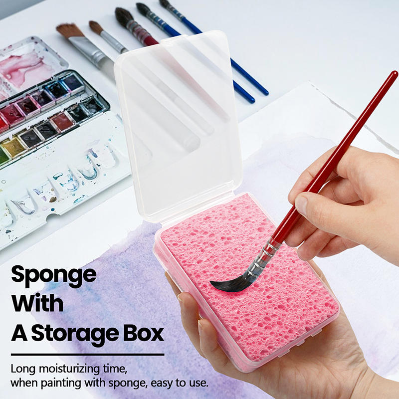 Pakowane w pudełku gąbki do cz – Eco Sponge recenzja i cena