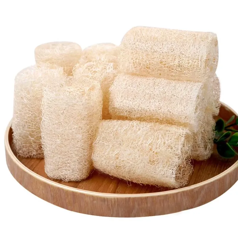 Najnowsza naturalna gąbka luff – Eco Sponge recenzja i cena