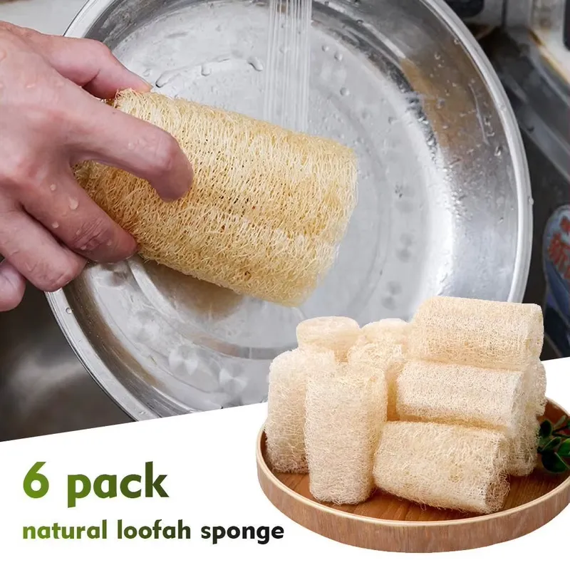 Najnowsza naturalna gąbka luff – Eco Sponge recenzja i cena