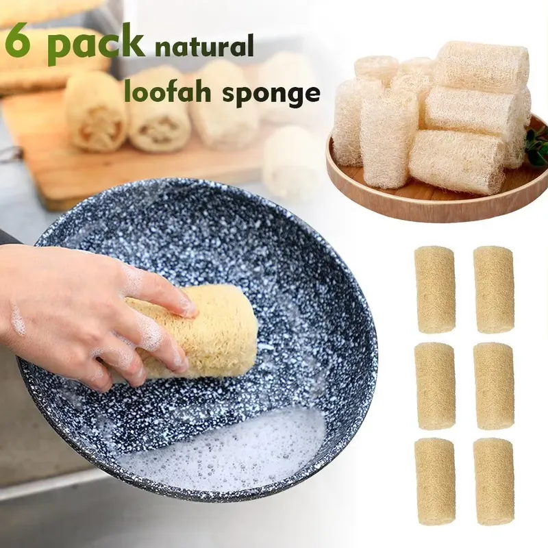 Najnowsza naturalna gąbka luff – Eco Sponge recenzja i cena